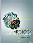 VIROLOGY: Molecular Biology and Pathogenesis 詳細資料