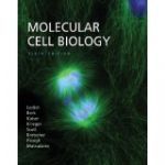 Molecular Cell Biology 6/e 詳細資料