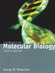 Essentials Of Molecular Biology 詳細資料