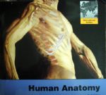 Human Anotomy  6th 詳細資料