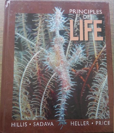 Principles of Life 詳細資料